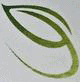 johanne-sabourin-physical-therapist-surrey