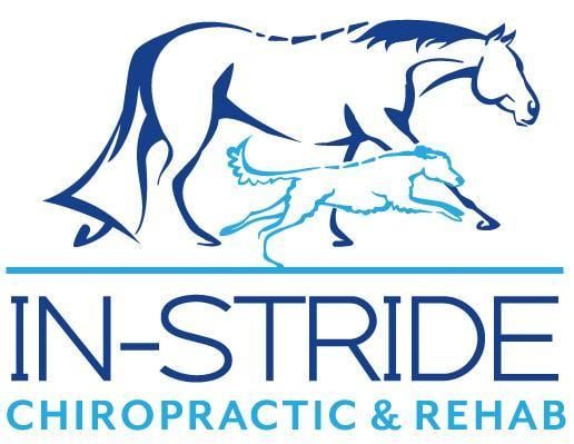in-stride-chiropractic-and-rehab
