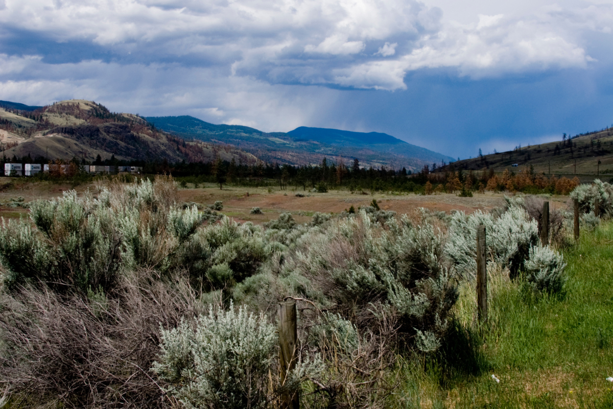 Kamloops, British Columbia PainHero