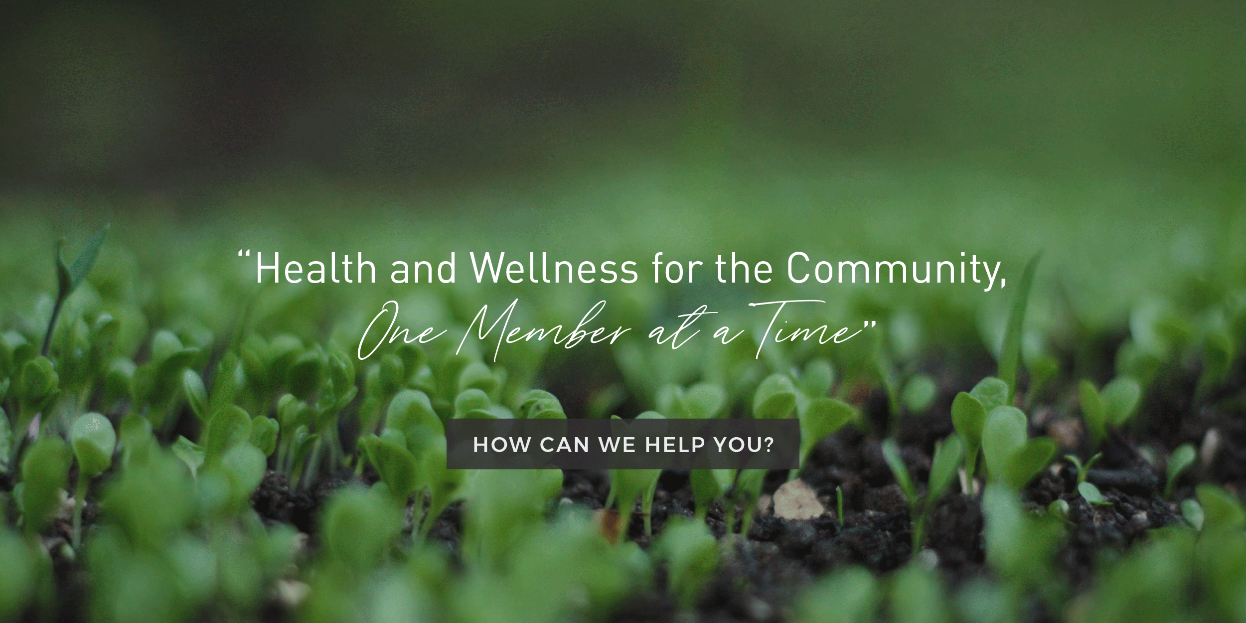 Rose Health Clinic PainHero