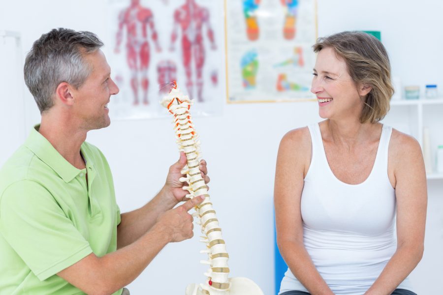 doctor showing anatomical spine in medical office