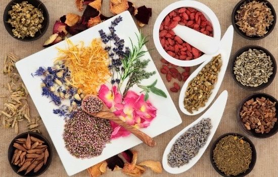 naturopathic medicine painhero