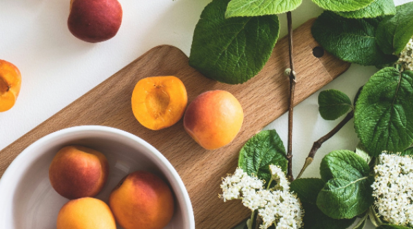 pro motion calgary holistic nutrition