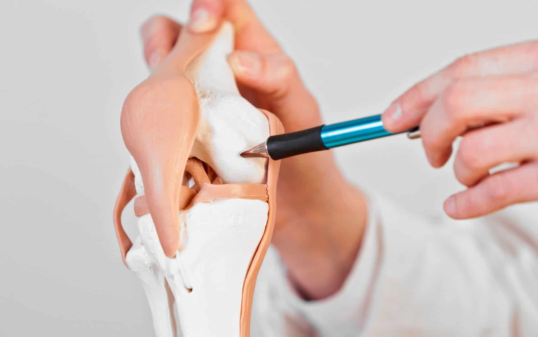 Why Does My Knee Crack, or Pop? Should I be Worried and What Should I